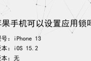 如何在苹果设备上设置应用锁密码（通过设置应用锁密码保护个人信息的方法和步骤）