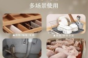洗碗机蟑螂的有效清除方法（打破蟑螂的家）