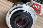 尼康投影仪暗影问题解决方法（如何改善尼康投影仪亮度问题）