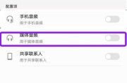 蓝牙音箱连接苹果手机无声音解决方法？