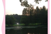 苹果手机如何拍摄复古风格照片？复古拍照技巧有哪些？