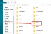 手机恢复U盘内容文件（手机连接U盘）