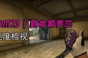cs社区检视服务器进入方法？遇到问题怎么办？