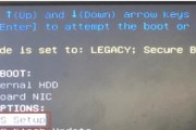DELL笔记本新版BIOS安装操作系统步骤（详细介绍DELL笔记本新版BIOS下如何安装操作系统）