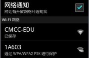 手机WiFi已连接但无法访问网络的解决方法（手机无法上网）