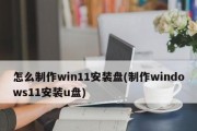 U盘启动后是空的（探究以微PE制作的U盘启动后为什么是空白的）