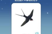 手机如何使用语音识物拍照？操作步骤是怎样的？