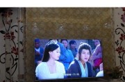 夏普电视机背光灯不亮故障的解决方法（夏普电视机背光灯故障解决方案详解）