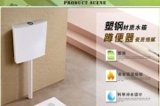 以带存水弯蹲便器为主题的优缺点分析（探索带存水弯蹲便器的使用特点及对环境的影响）