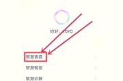 苹果手机如何开启语音权限？
