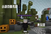 小打小闹游戏服务器是哪个？小打小闹游戏在哪个服务器上玩？