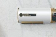乐邦热水器显示E1故障的原因及处理方法（了解乐邦热水器E1故障）