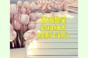 手机拍照小米14水印怎么去掉？去除水印的方法是什么？