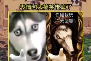 酷七杰克玩的是哪个服务器？如何加入？