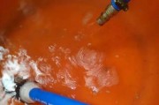 如何使用热水器清洗喷头水垢（简便方法让喷头重现清新）