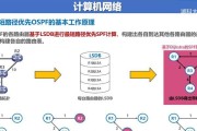 在路由器上如何配置OSPF协议？OSPF协议设置的步骤是什么？