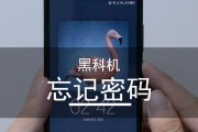 密码忘记了怎么办？（解决密码忘记问题的方法及注意事项）