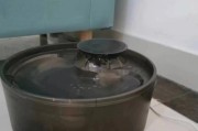 饮水机放出虫子的原因与预防（揭秘饮水机内虫子孳生的原因与解决方案）