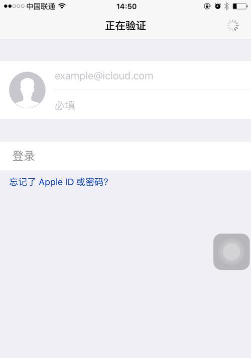 如何在苹果手机上更改ID账号名字（简单教程帮助你轻松修改苹果手机的ID账号名字）