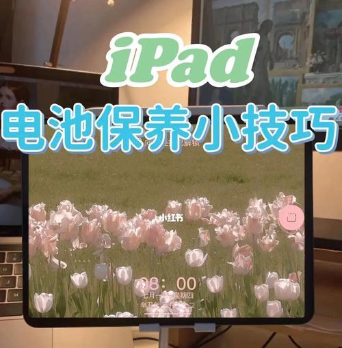 掌握iPad电池健康的方法（如何查看iPad电池的健康状况以延长使用寿命）