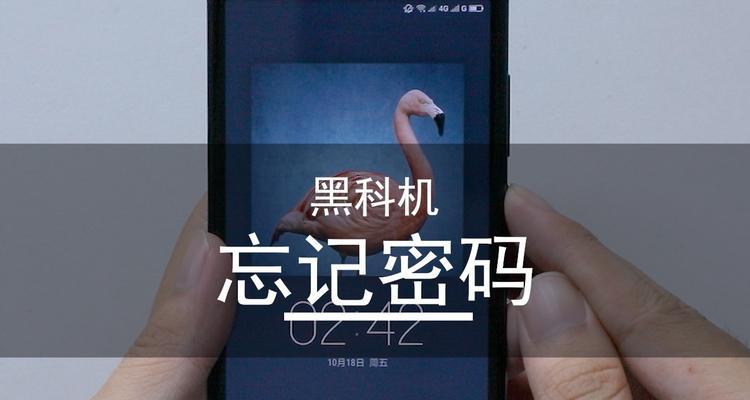 密码忘记了怎么办？（解决密码忘记问题的方法及注意事项）