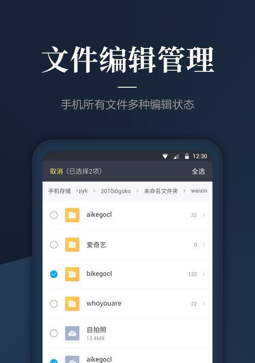巴士DS2700存储设备的功能和优势（一款可靠的存储解决方案）