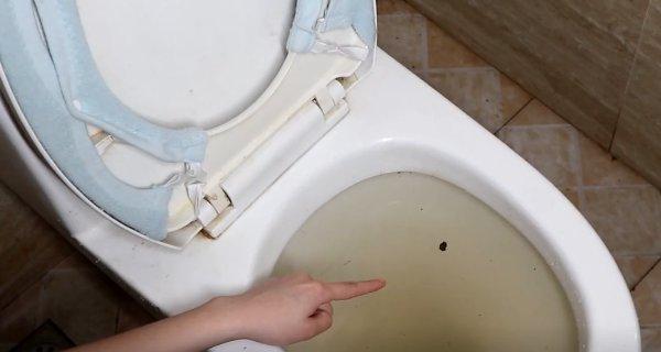 马桶堵住了怎么办（一招致胜）