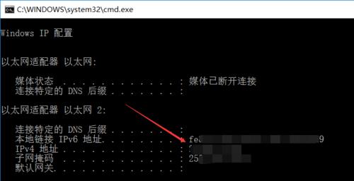 通过CMD查询IP地址的方法及使用技巧（使用CMD命令快速准确查询IP地址信息）