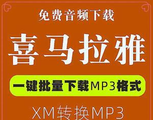 一款的XM文件转换为MP3的软件推荐