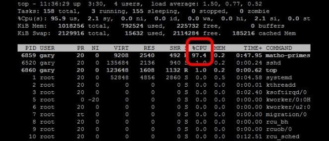 Linux下如何查看CPU信息（掌握Linux命令行中查看CPU信息的方法）