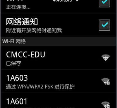 手机WiFi已连接但无法访问网络的解决方法（手机无法上网）