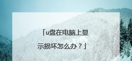 教你如何使用chkdsk修复U盘问题（掌握chkdsk命令）