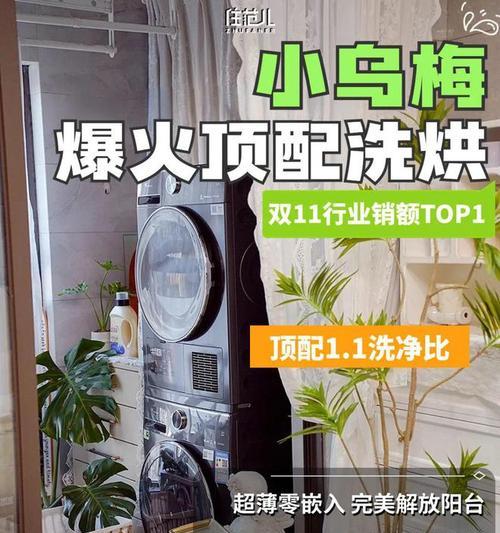 如何正确清洗索尼抽油烟机（掌握清洗技巧）