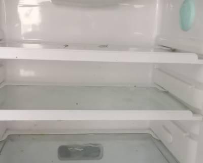 清洗冰箱的方法和技巧（保持冰箱清洁卫生）