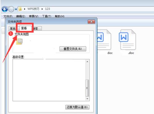 电脑文件后缀名的重要性与显示方法（探索文件后缀名的作用）