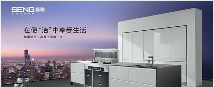 重温新森歌集成灶（探索新森歌集成灶）