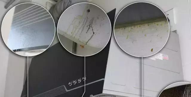 如何正确清洗坐便器油烟机（轻松掌握清洗技巧）