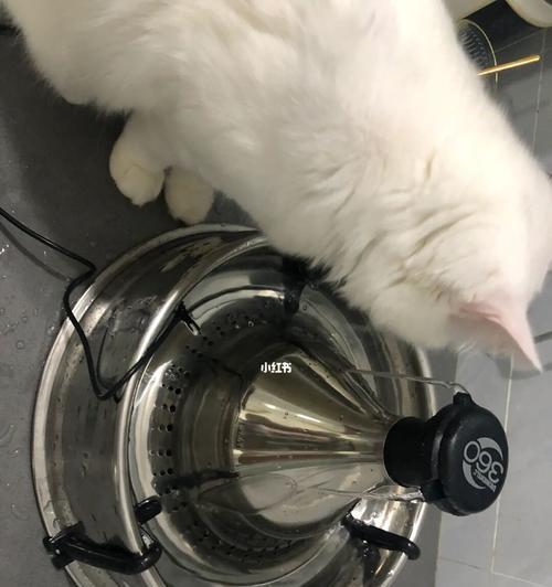 猫咪饮水机维修指南（解决您猫咪饮水机问题的实用方法）