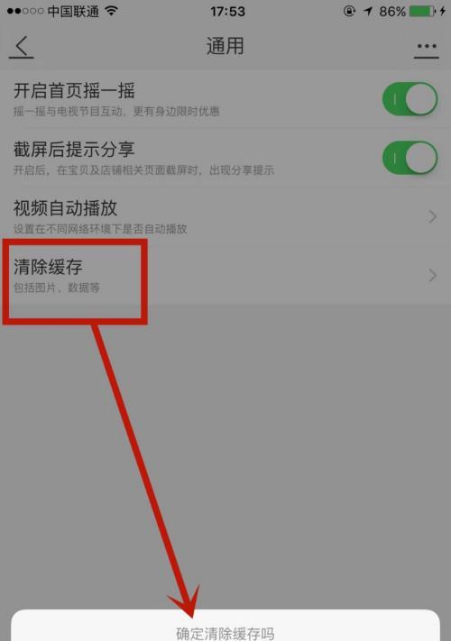 如何有效清理苹果手机内存（掌握关键技巧）
