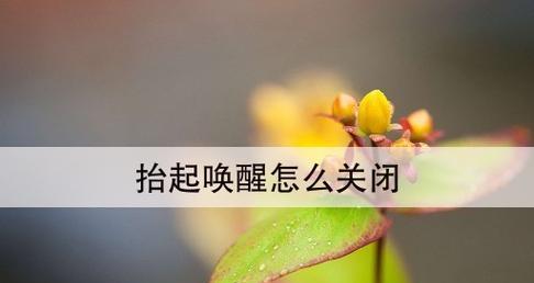 唤醒的重要性（抬起唤醒的设置方法和技巧）