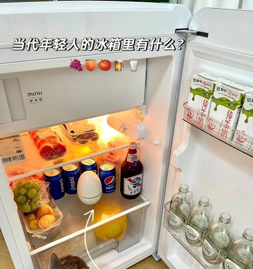 冰箱排水孔堵塞怎么办（一招解决冰箱排水孔堵塞）