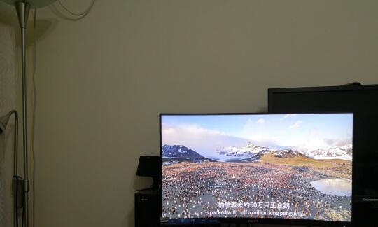 外接显示器出现红点点是什么原因？如何快速解决？