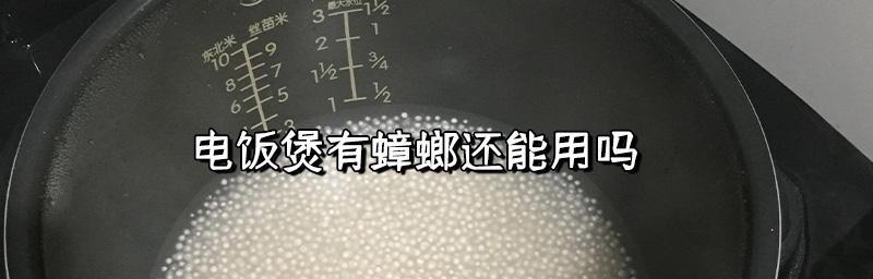 电饭煲进蟑螂了怎么办？如何彻底清理和预防？