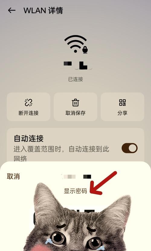 怎么看连接的wifi密码是多少？忘记密码怎么办？