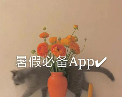 宅家办公如何选择笔记本电脑？哪些品牌和型号值得购买？