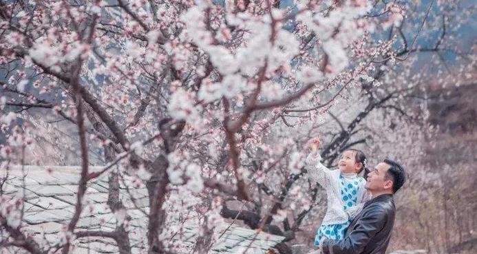 春节小长假如何安排游戏时间？没时间玩怎么办？