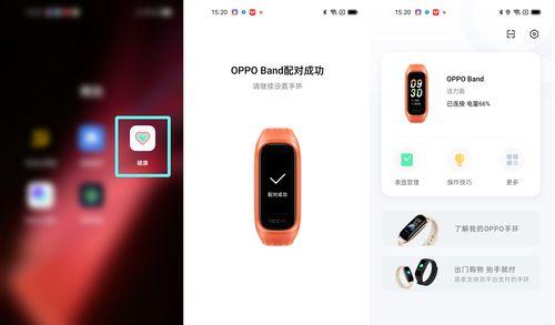 OPPO手环具备哪些功能？常见问题解答