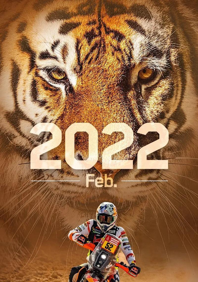 2022年手机评测排名是怎样的？哪些手机品牌表现最佳？