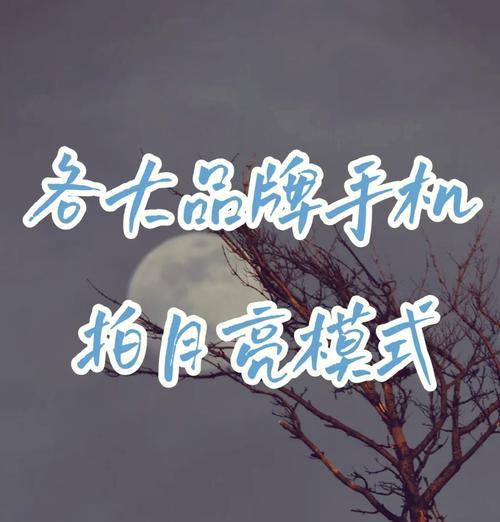 小米10如何用专业模式拍月亮？设置参数有哪些技巧？