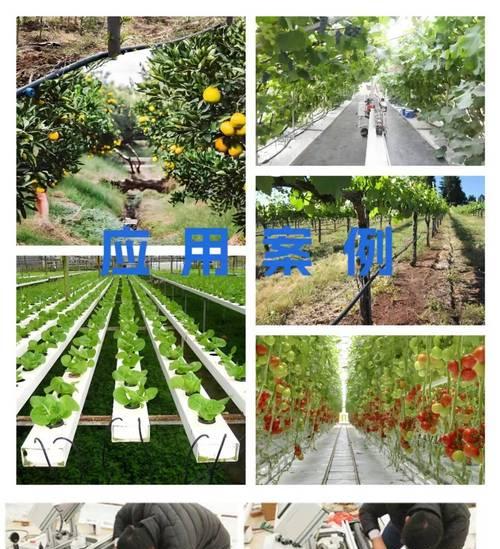 萝卜白菜施肥滴灌播种一体机怎么用？操作方法是什么？